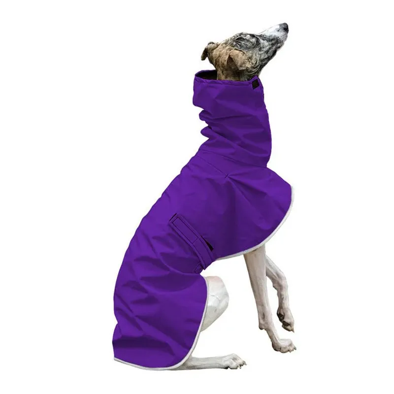 Italian Greyhound Waterproof Coat | Winter Adjustable Whippet Jacket | Warm Fleece Dog Clothes