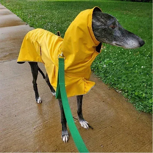 Italian Greyhound Waterproof Coat | Winter Adjustable Whippet Jacket | Warm Fleece Dog Clothes