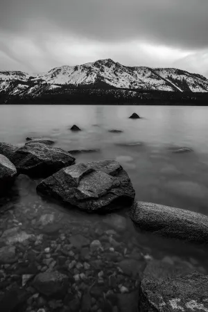 Monochromatic Dream By Brad Scott - Art Print