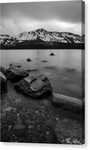 Monochromatic Dream By Brad Scott - Canvas Print