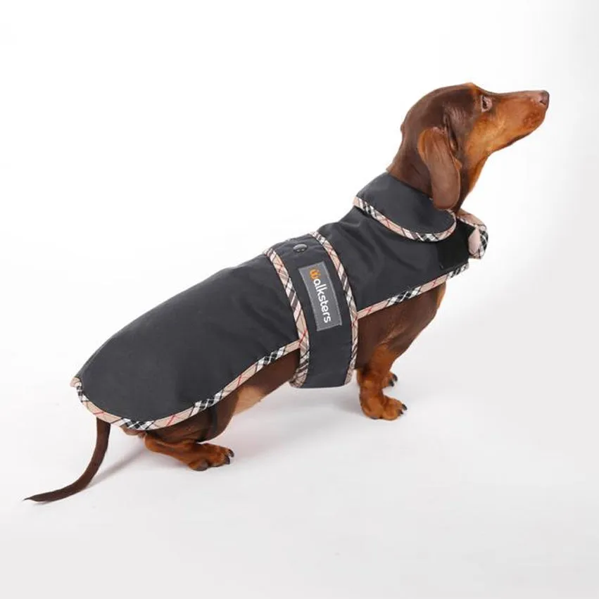 Walksters Dachshund Premium Wax Coat in Navy