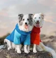 Winter / Autumn Large Dog Clothes dog Lamb Cashmere Warm plush coat